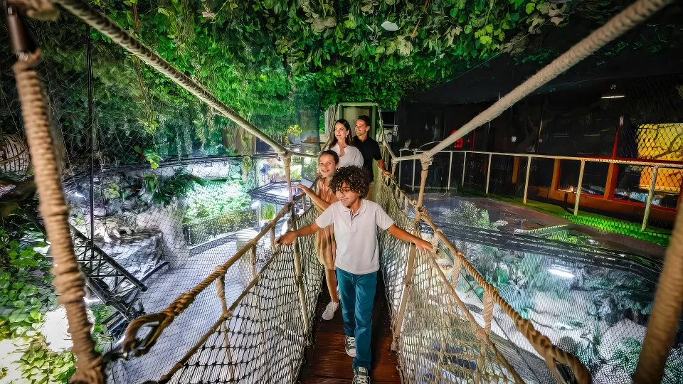 Dubai Aquarium &#038; Underwater Zoo &#8211; Regular Pass - Image 1