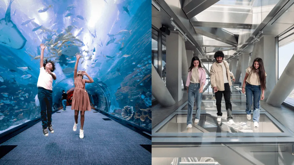 Dubai Aquarium + Sky Views with Slide &#8211; Combo - Image 1